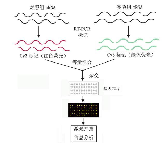 QQ截圖20160829143534.jpg