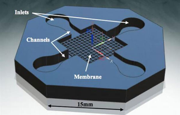 3D打印陶瓷微體系推動微流控芯片和人體器官芯片應用 3D打印陶瓷微體系推動微流控芯片和人體器官芯片應用