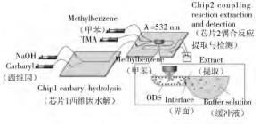 圖 2 微芯片上西維因的檢測