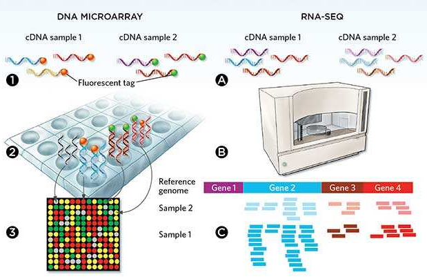 微流控自動(dòng)化技術(shù)革新RNA-Seq文庫(kù)構(gòu)建流程 --- FLUIDIGM發(fā)布更高效、更節(jié)約成本的Advanta RNA-Seq NGS 文庫(kù)構(gòu)建解決方案