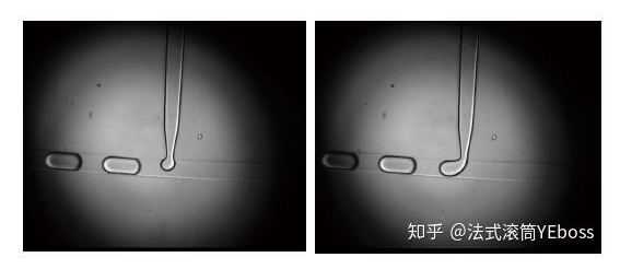 圖1