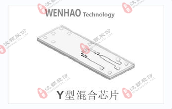 Y型混合芯片