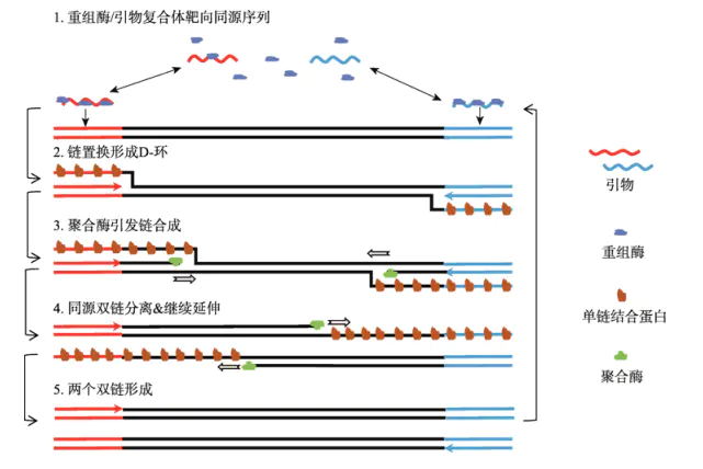 圖片1.png