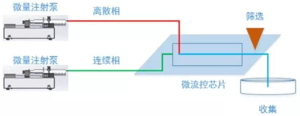 圖片1.png