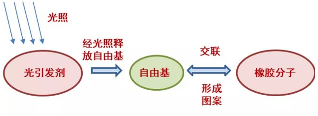 圖片11.png