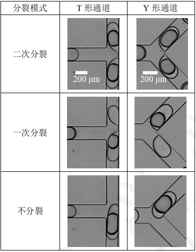 微信截圖_20240207113312.png