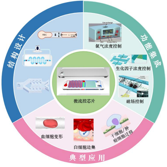 圖片1.png