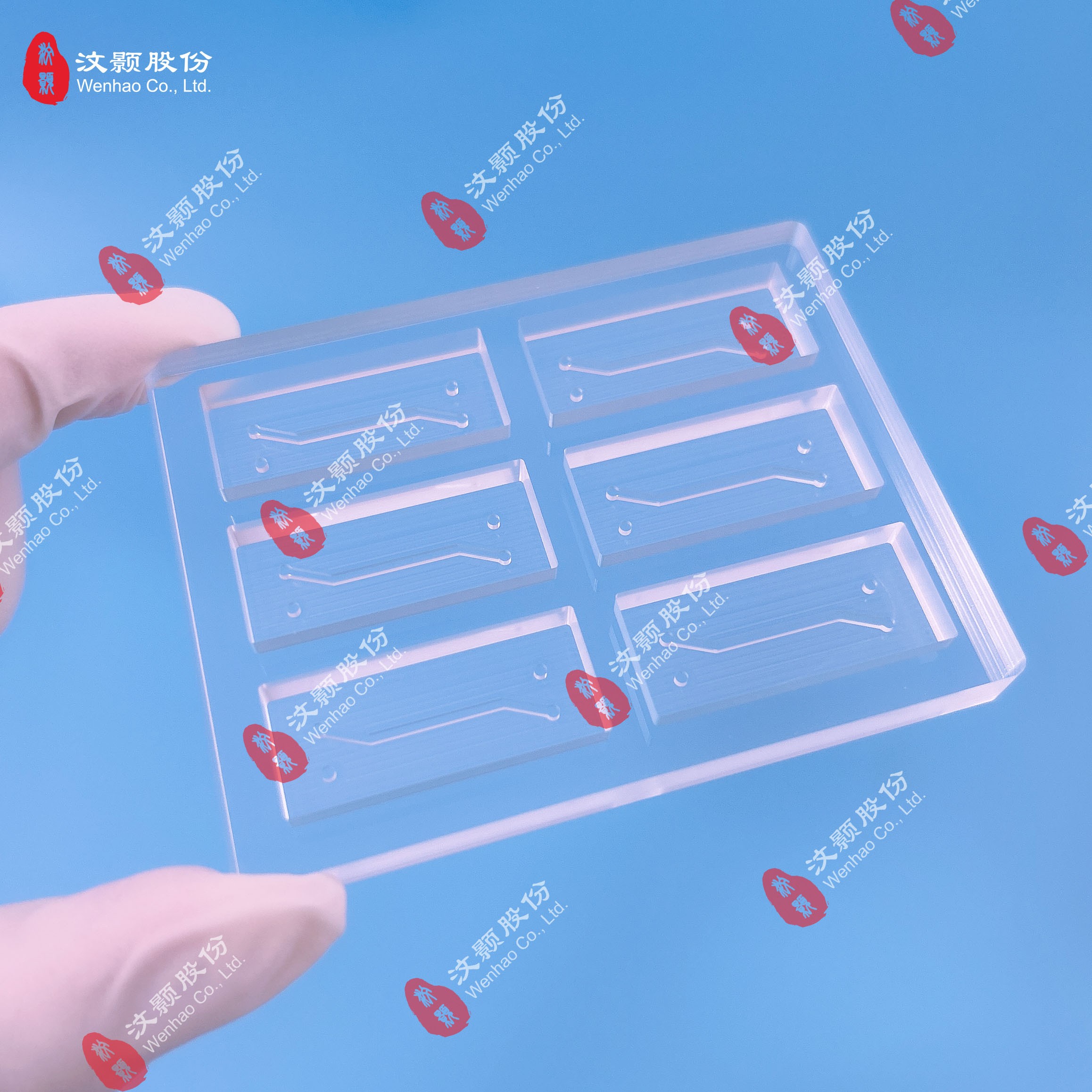 20230608PMMA模具-王金金.jpg