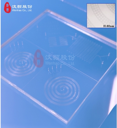 微信截圖_20241121103247.png