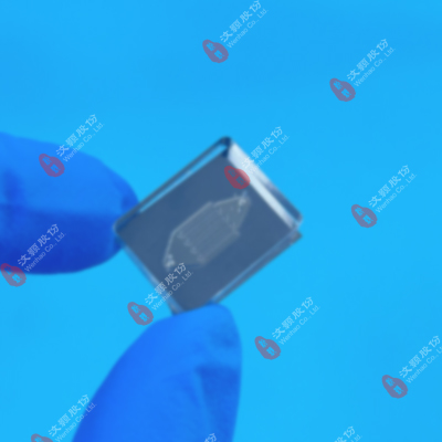20240919PDMS+硅片-徐紅梅.jpg
